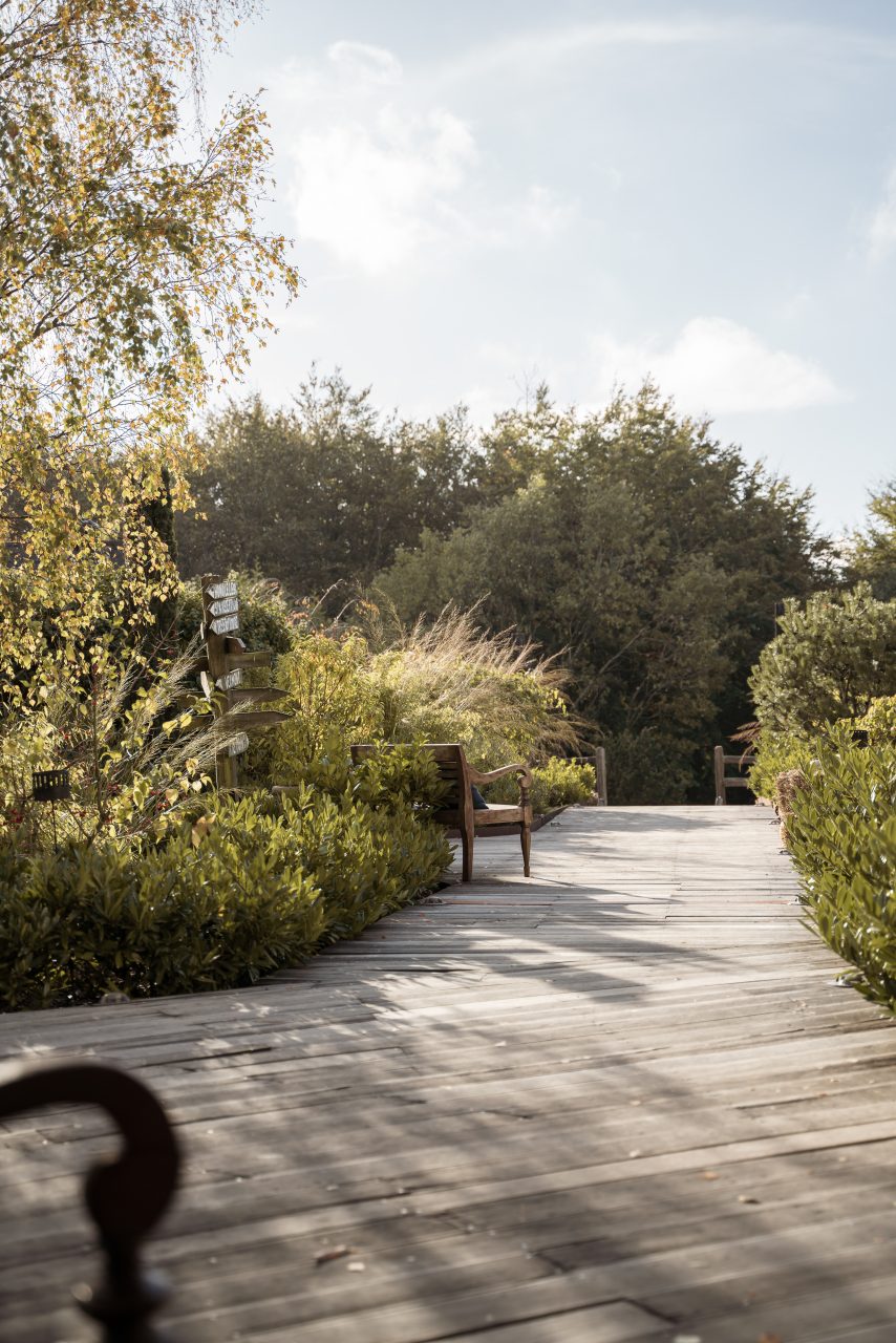 Solbelyst trädäck genom grönskan på The Lodge, Romeleåsen i Skåne