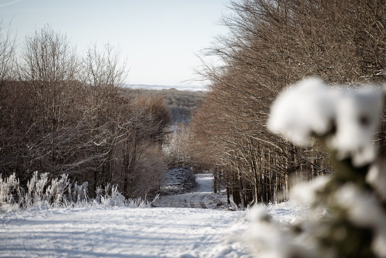 Snötäckt landskap kring The Lodge i Skåne