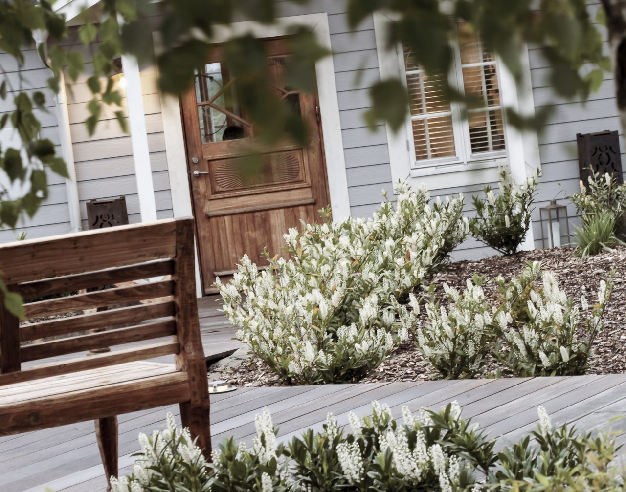 Huvudbyggnaden med blommande buskar på The Lodge