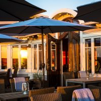 vintips bästa vinet