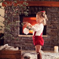 inrednings stilen New England